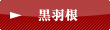 黒羽根